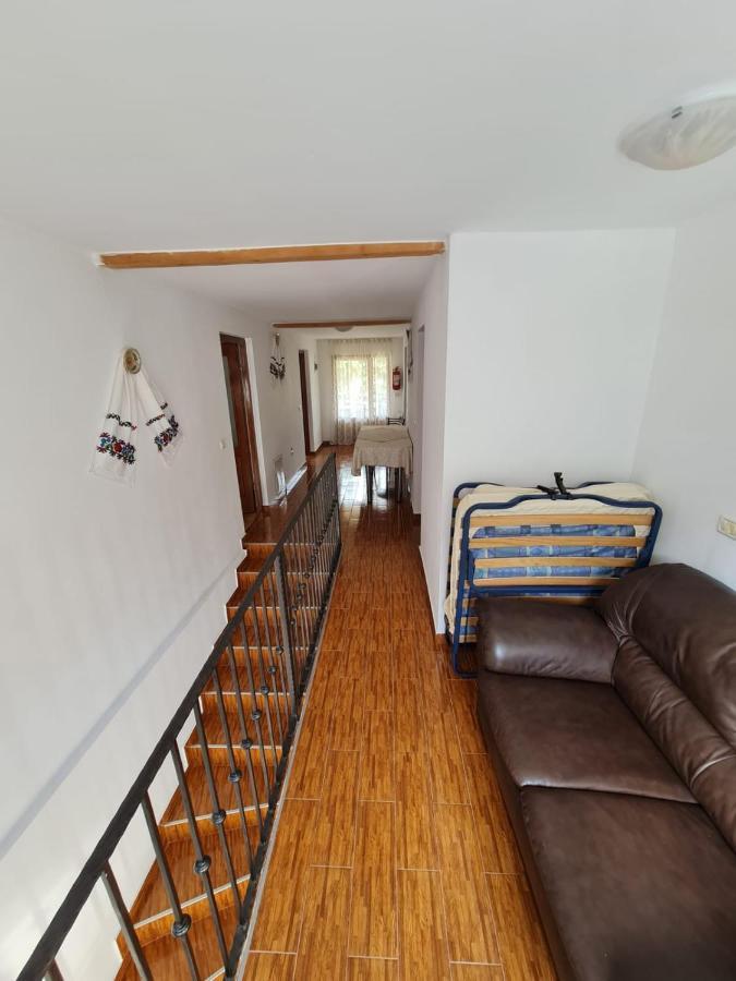Cazare Luxandra Borşa Exterior foto