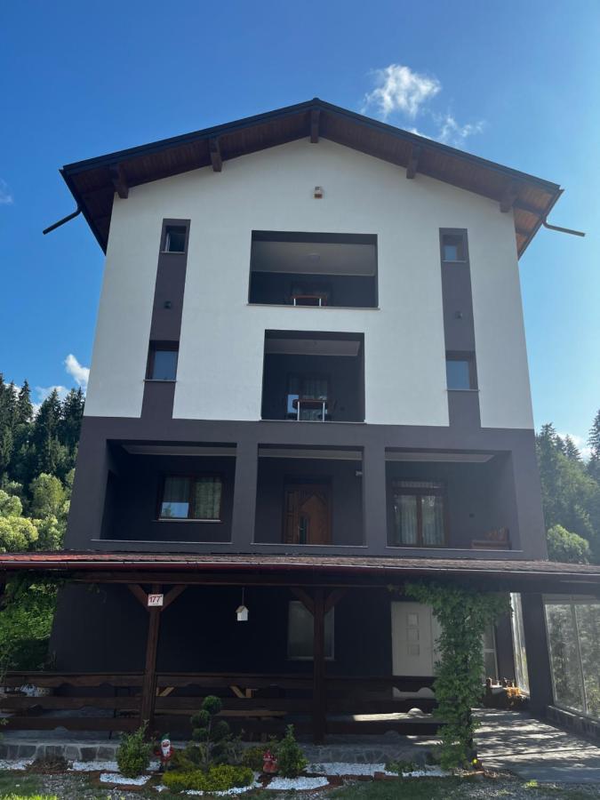 Cazare Luxandra Borşa Exterior foto